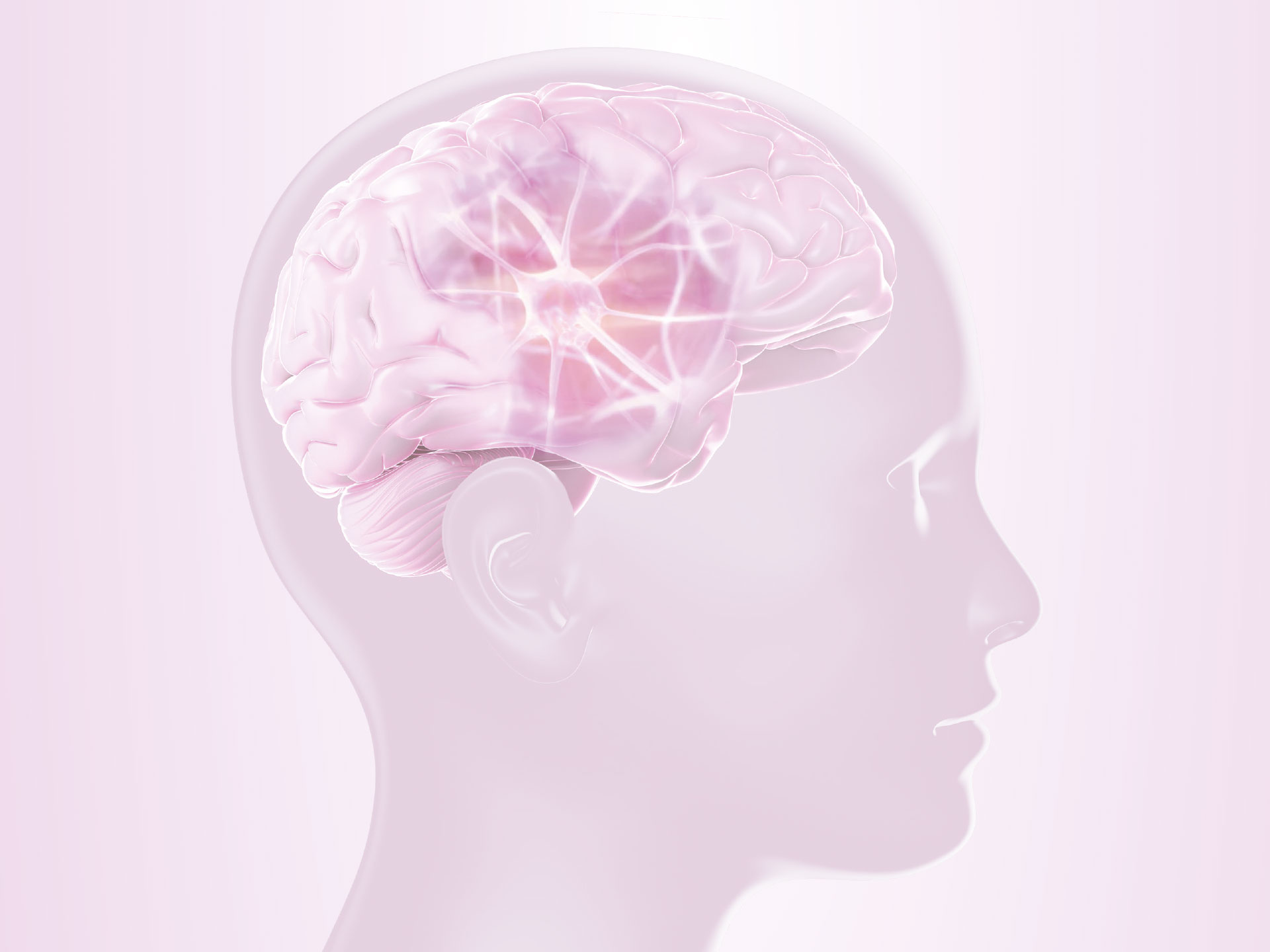 Illustration eines Kopfes mit Blick auf das Gehirn