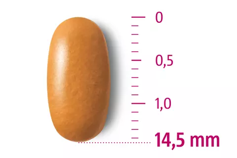  Die kleinste Tablette mit 240 mg Ginkgo-Extrakt im Markt mit 14,5 mm