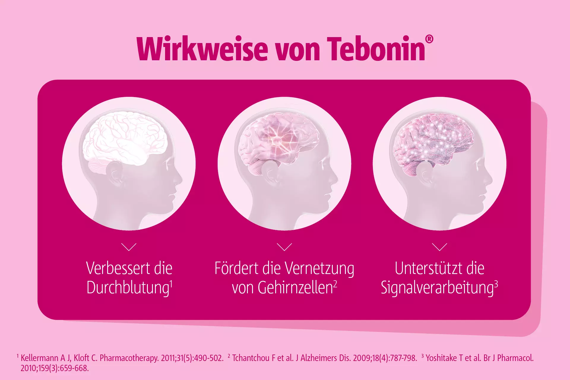 Grafik zur Wirkweise von Tebonin