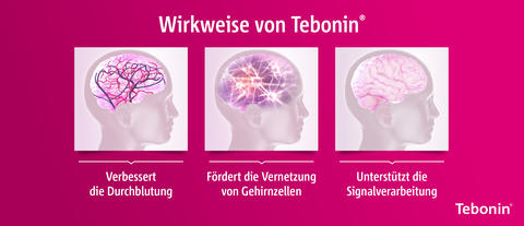 Wirkweise von Tebonin®