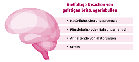 Aufzählung der vielfältigen Ursachen von geistigen Leistungseinbußen