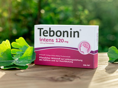 Packungsabbildung Tebonin® intens 120 mg